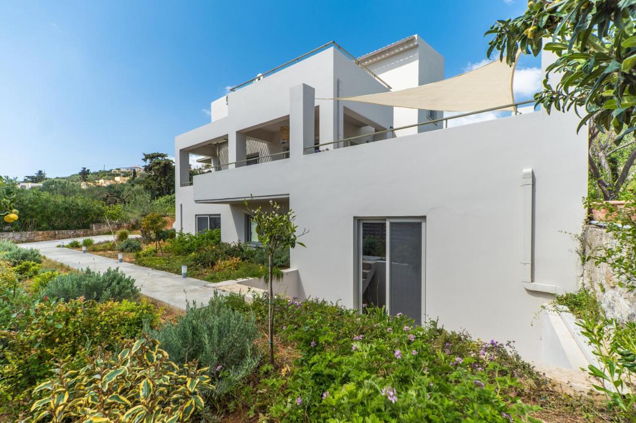 Villa Oliveto Tavronitis  Ngoại thất bức ảnh