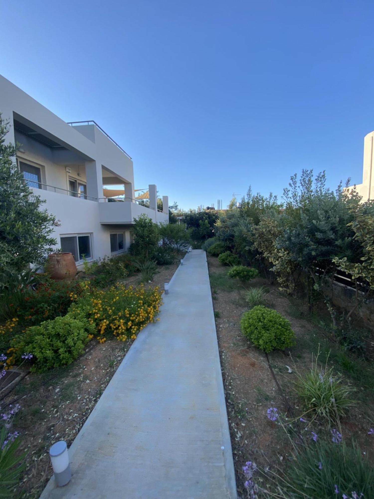 Villa Oliveto Tavronitis  Ngoại thất bức ảnh